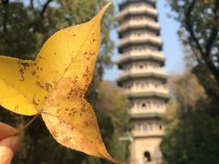 -灵谷景区