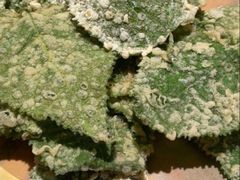 -径山十八道·风味民间菜(杭州总店)