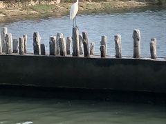 -白鹭洲公园