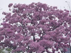-万科前海企业公馆