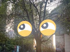 -瑞虹新天地月亮湾