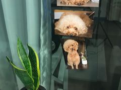 -爱摄影照相馆(大北路店)