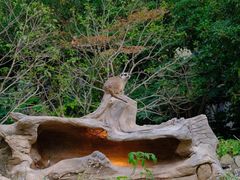 -上海野生动物园