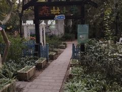 -青青世界