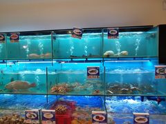 水产区-南海渔家•海鲜•正宗海南菜(海棠湾店)