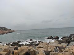 -广东惠东海龟国家级自然保护区