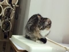 iphone_upload_pic-A+摄影