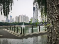 -西北湖绿化广场