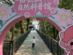 -桃花涧