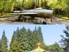 -东平国家森林公园
