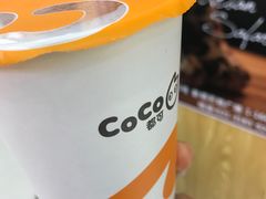 鲜芋青稞奶-CoCo都可(桃浦新邻店)