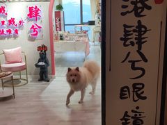 -肆兮眼镜·蔡司·徕卡战略合作店(大坪店)