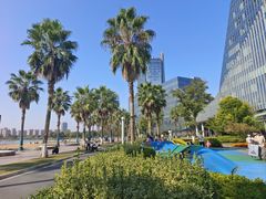 -金沙湖公园