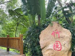 -大屏嶂森林公园