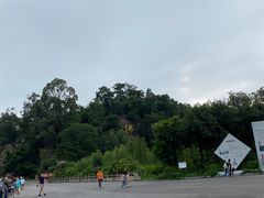 -三水森林公园