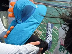 -日照世帆赛基地