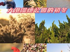 -大港湿地公园