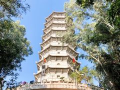 -深圳国际园林花卉博览园