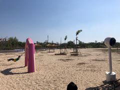 -九龙湖公园
