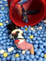 -莫莉幻想儿童乐园(武汉保利广场店)