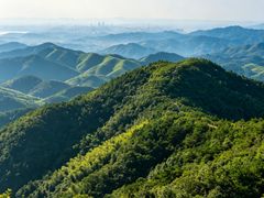 -长沙黑麋峰国家森林公园