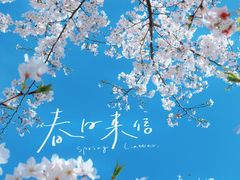 -上海辰山植物园