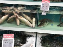 -盒马鲜生(大成店)