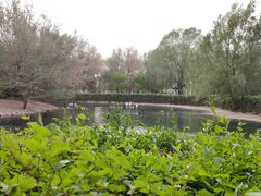 -长白岛森林公园