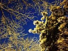 -晋阳饭庄(虎坊桥店)