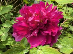 -木塔寺遗址生态公园