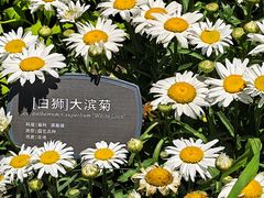 -国家植物园