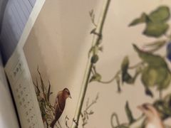 -上海仁爱医院