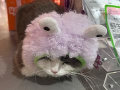 -MARSMART PETS火星宠物超市(1733店)