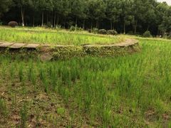-邓小平故里