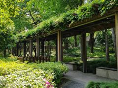 -徐家汇源景区-衡山公园