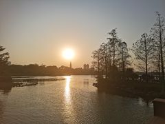 -海珠湖公园