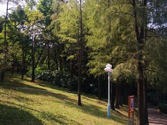 -深圳龙潭公园