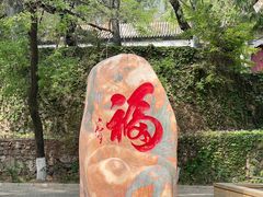 -鹫峰国家森林公园