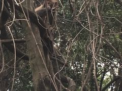 -苏州上方山国家森林公园