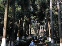 -莫干山风景区
