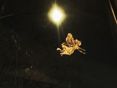 -Ginger(兴国路店)