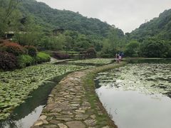 -桃花岭景区