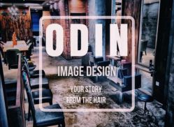 -ODIN 奥丁形象设计 