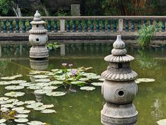 -碧江金楼