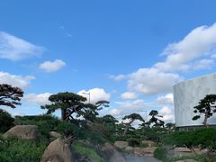 -罗红摄影艺术馆