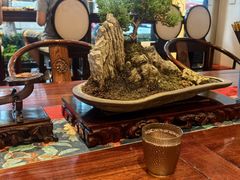 -苏面斋·本地传统苏式面馆