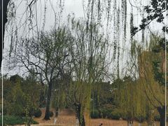 -元大都城垣遗址公园