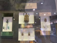 -上海昆虫博物馆