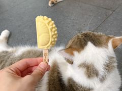 -盒马鲜生(红莲店)