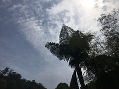 -西南交通大学(峨眉校区)